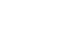 vp logo white